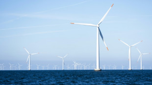 Hohe Kosten: Dänischer Örsted-Konzern stoppt Windpark-Projekt vor britischer Küste