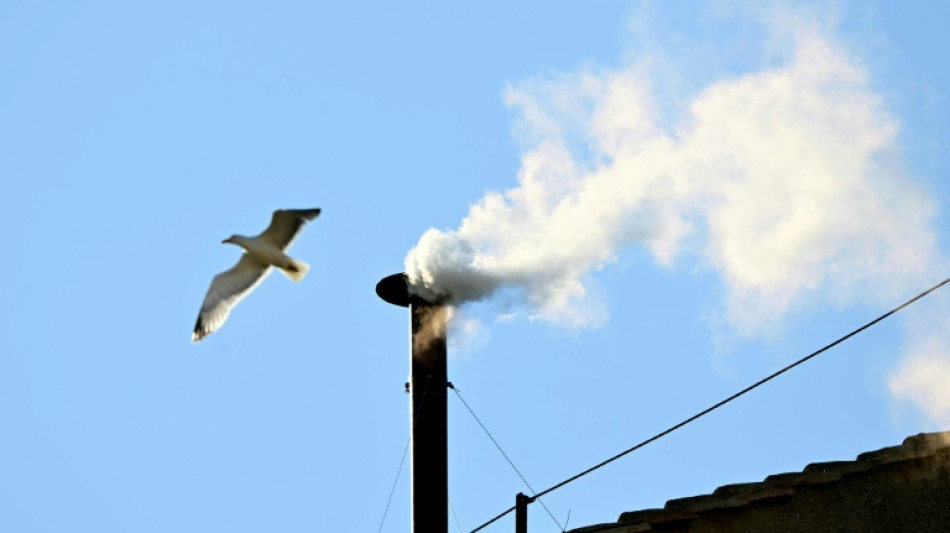 Neuer Papst gewählt - weißer Rauch über dem Vatikan