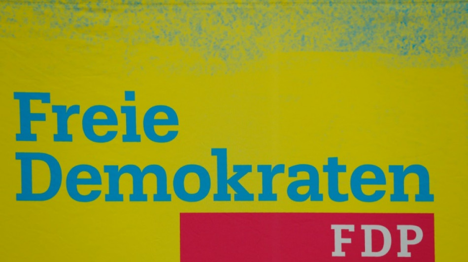 FDP in Rheinland-Pfalz wählt Landeswirtschaftsministerin Schmitt zu Parteichefin