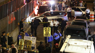 Pol&iacute;cia de imigra&ccedil;&atilde;o fere a tiros dominicano em Nova York