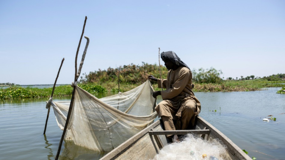 Au lac Tchad, la baisse de l’aide humanitaire fait craindre une hausse des attaques terroristes