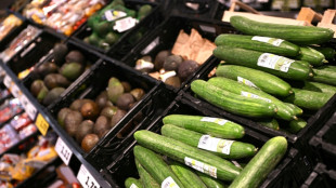 Verbrauchersch&uuml;tzer: Steigende Lebensmittelpreise haben "politische Sprengkraft"