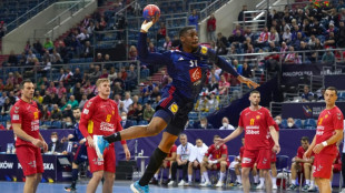 Mondial de hand: les Bleus lanc&eacute;s vers les quarts