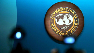 Fmi, pi&ugrave; sforzi bilancio per l'Italia nei prossimi due anni