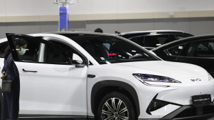 Per la cinese Byd record a dicembre, nella Top 10 in Italia