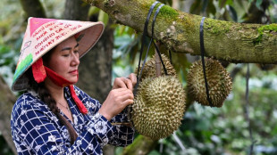 Vietnamese coffee farmers ride China's durian wave