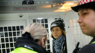 Greta Thunberg &eacute; detida em Londres durante manifesta&ccedil;&atilde;o de apoio ao grupo Palestine Action