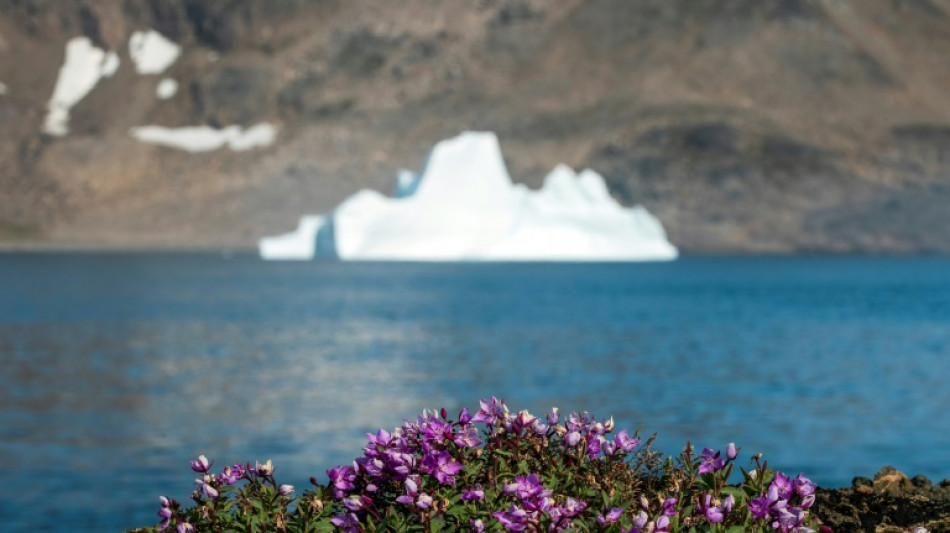 Greenland fossils reveal greater sea-level threat from climate change