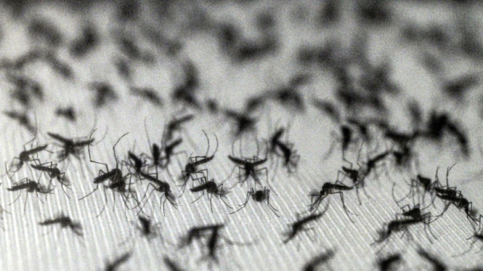 Lernf&auml;hige Blutsauger: Warum Insektenspray M&uuml;cken sogar anziehen kann
