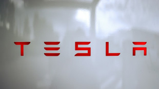 Tesla: le fonds souverain norv&eacute;gien oppos&eacute; au plan de r&eacute;mun&eacute;ration colossal de Musk