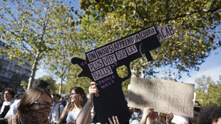 Scontri al corteo degli studenti, barricate e lacrimogeni a Strasburgo