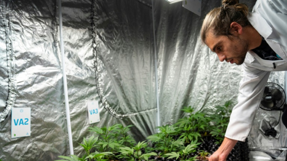 Kinder- und Jugendmediziner warnen vor Cannabis-Legalisierung