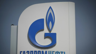 Pays-Bas: Gazprom suspend les livraisons de gaz &agrave; l'un des principaux fournisseurs 