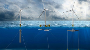 Pichetto, stiamo rivedendo il decreto per i fondi a eolico offshore