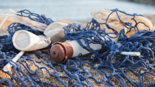 Plastic free onlus, alternativa sostenibile al black friday