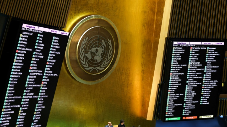 UN-Vollversammlung spricht sich f&uuml;r Vollmitgliedschaft von Pal&auml;stinensern aus
