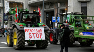 El Parlamento Europeo adopta salvaguardias para los agricultores en el acuerdo con Mercosur