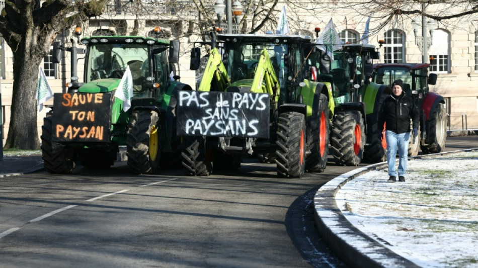 Francia limita importaciones agr&iacute;colas en respuesta a la ira hacia el acuerdo UE-Mercosur 