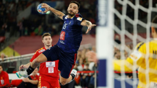 Euro de hand: Hugo Descat reprend son envol &agrave; l'aile