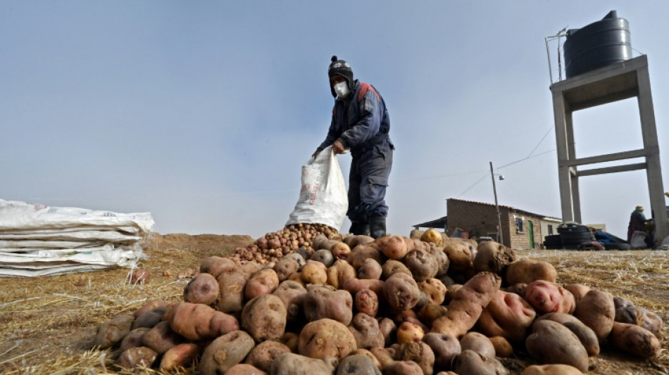 Cara y cruz de China en Am&eacute;rica Latina: dinero y deterioro ecol&oacute;gico