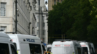 Un hombre es condenado a 13 meses de c&aacute;rcel en Reino Unido por robar un Banksy