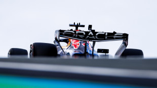 F1: incidente a Verstappen, bandiera rossa nel GP d'Olanda (2)