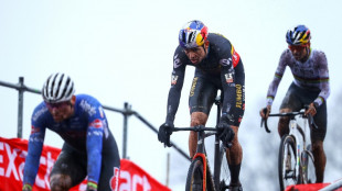 Cyclo-cross: Van der Poel/Van Aert, final en apoth&eacute;ose aux Mondiaux