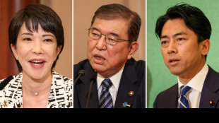 O surfista, a nacionalista, o 'amigo' de Trump... os candidatos a chefe de Governo do Jap&atilde;o