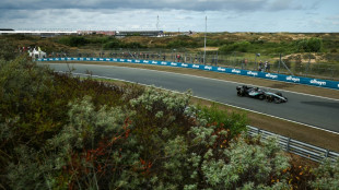Freies Training: Antonelli auch in Zandvoort stark
