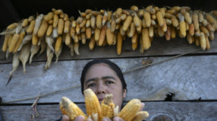 Guatemala: &agrave; l'approche d'un &eacute;ventuel El Ni&ntilde;o, la peur de la famine hante les habitants d'un village