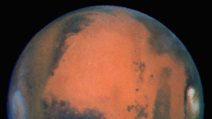 Nasa, su Marte potenziale impronta di vita microbica