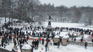 Tempesta di neve a New York, dichiarato lo stato di emergenza