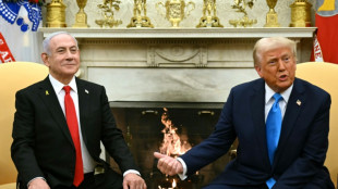 Droits de douane, Iran et Gaza au menu d'une visite de Netanyahu à Washington