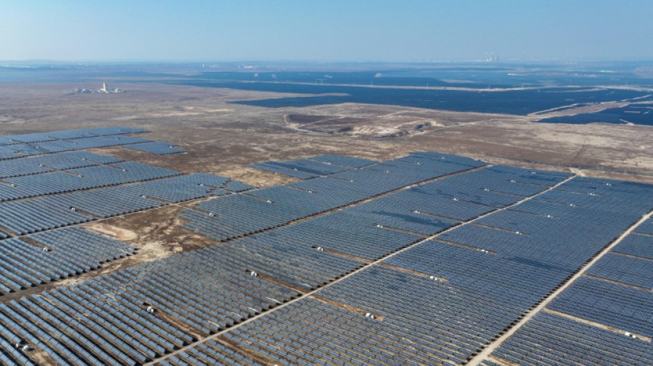 El auge de la energ&iacute;a solar en China disminuye la diversidad de aves, seg&uacute;n estudio