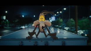 Arriva il redivivo Coyote vs Acme , tra commedia, ironia a Looney Tunes