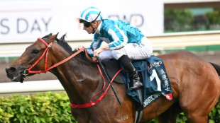 World record prize winner Romantic Warrior retires from horse racing