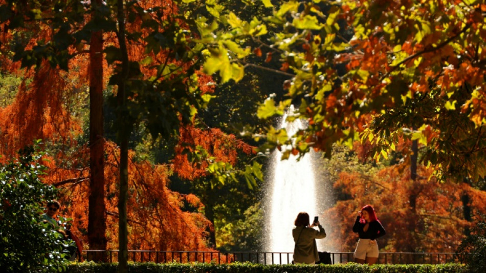 Madrid para la tala de m&aacute;s de mil &aacute;rboles tras una protesta ciudadana