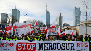 Polish farmers march against Mercosur trade deal 