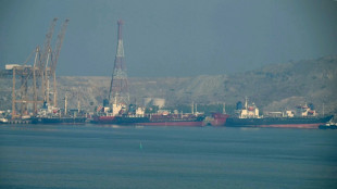 Emiratos &Aacute;rabes Unidos se retirar&aacute; de la OPEP a partir de mayo