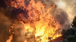 Offenbar 18 Migranten bei Waldbrand in Griechenland get&ouml;tet