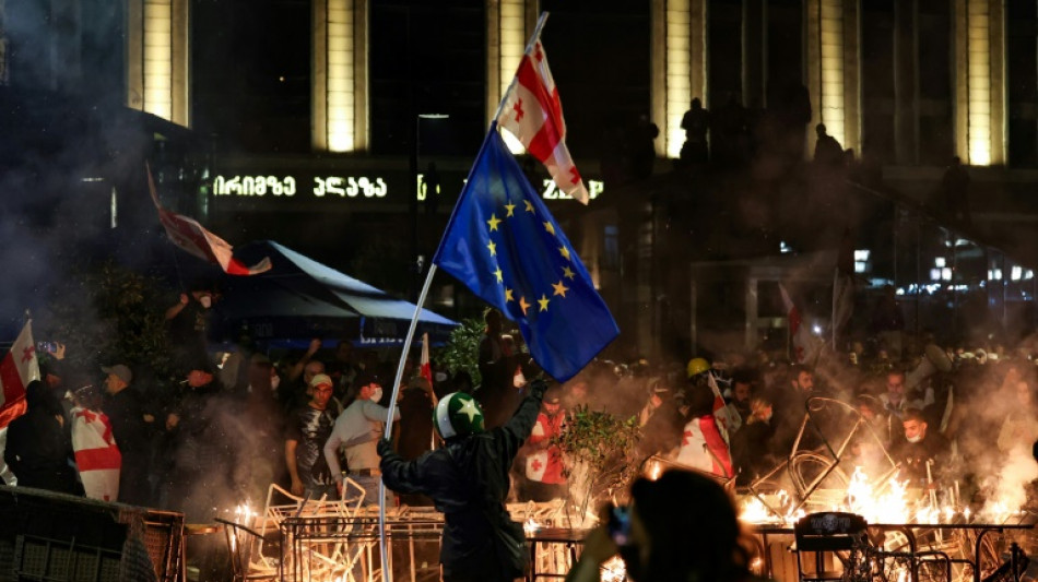 Georgia PM announces sweeping crackdown on opposition after 'foiled coup'