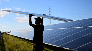 Investitionen in Erneuerbare Energien und Atomkraft steigen 2025 auf Rekordsumme