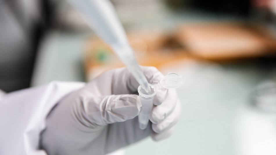 Sull'asteroide Bennu zuccheri, gomma e polvere di supernova