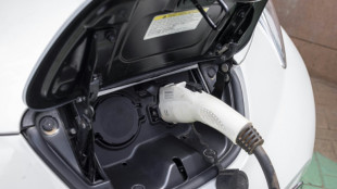 Une voiture &eacute;lectrique &agrave; 100 euros par mois: le gouvernement pr&eacute;pare son offre
