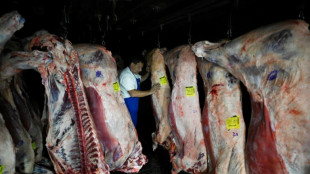 Trump firma un decreto para aumentar las importaciones de carne de res argentina