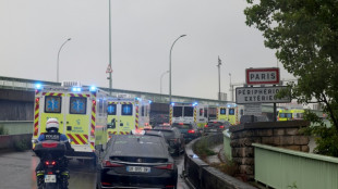 Shamonda-Virus erstmals bei Menschen entdeckt - Patient stirbt in Frankreich