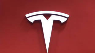 Quasi 3 milioni di Tesla richiamate in Cina per le maniglie di emergenza