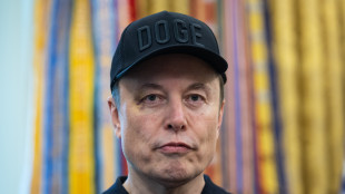 Musk insiste, riscrivere la legge di bilancio