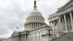 Republicans scuffle in tight contest for new US House speaker