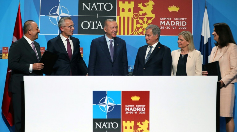 Ankara l&egrave;ve son veto &agrave; l'entr&eacute;e de la Su&egrave;de et de la Finlande dans l'Otan